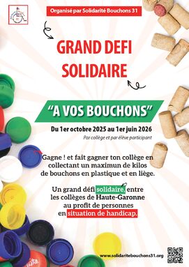 Affiche-defi-colleges_page-0001.jpg