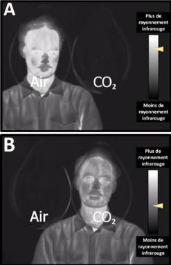 dioxyde de carbone et réchauffement climatique.png